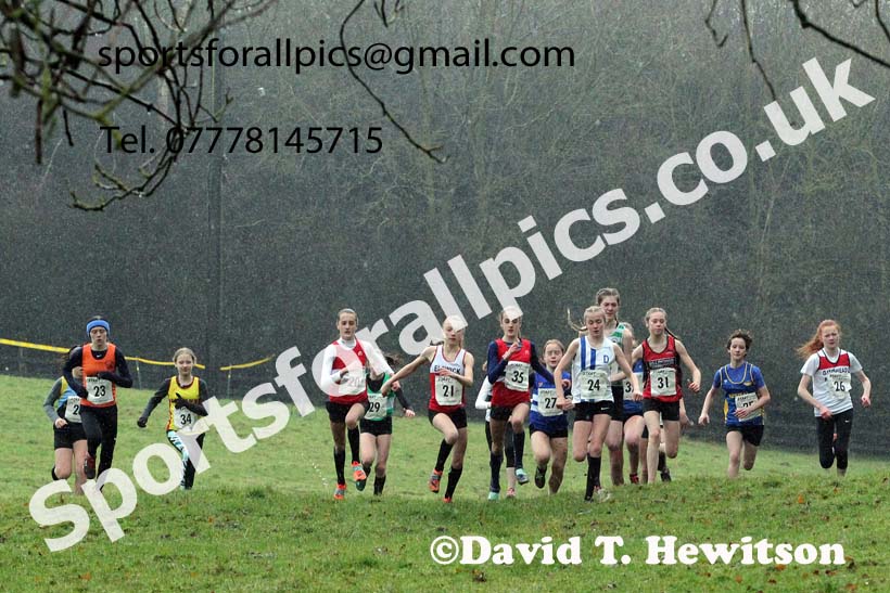 Girls under-13s, NECAA Junior Cross Country Relays, Thornley Farm, Peterlee, Saturday, December 12th. Photo: David T. Hewitson/Sports for All Pics